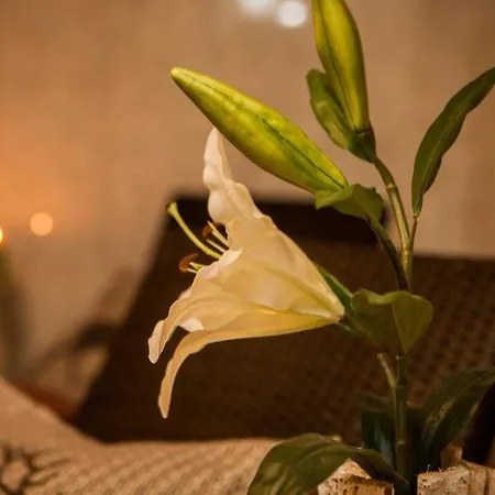 Σπίτι διακοπών Chalet Platzhirsch